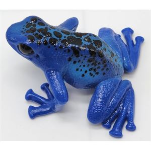 schleich-blue-poison-dart-frog-85__49066.jpg